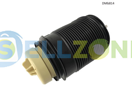 Αερόσακος ανάρτησης για Mercedes E-Class W212 (πίσω αριστερά) - DMb814